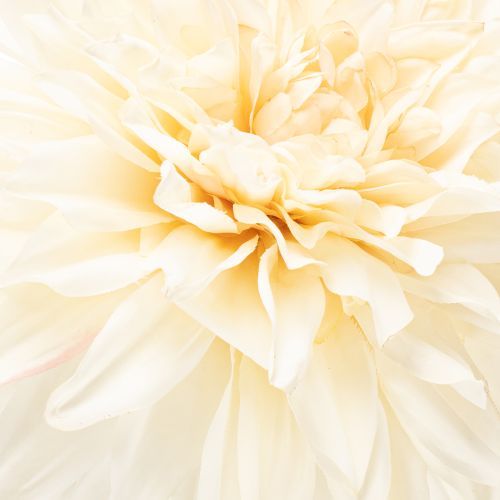 Fleur artificielle Dahlia crème blanche 68 cm | Floristik24.fr
