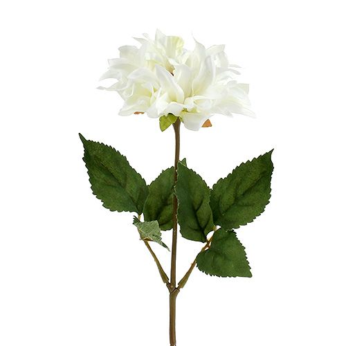 Floristik24 Dahlia Blanc 28cm 4p