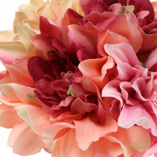 Floristik24 Bouquet de Dahlia 28cm rose, crème 6pcs