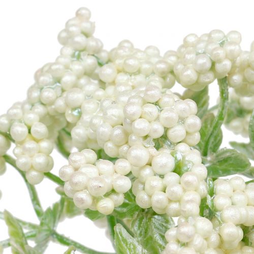 Floristik24 Branche de baies décoratives blanches 24 cm 5 p.