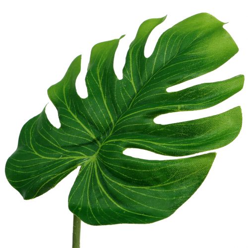 Floristik24 Feuille Déco Feuille Philo Vert L11cm L29.5cm 3pcs