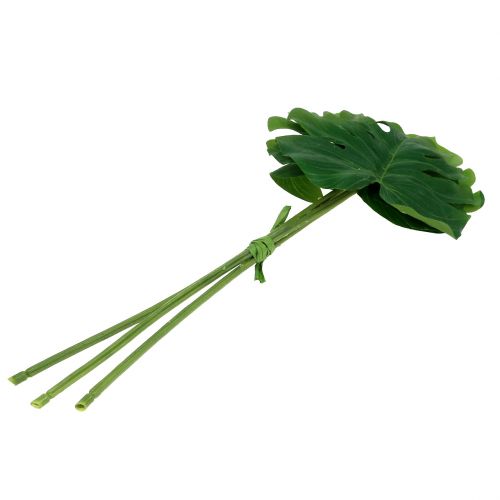 Floristik24 Feuille Déco Feuille Philo Vert L11cm L29.5cm 3pcs