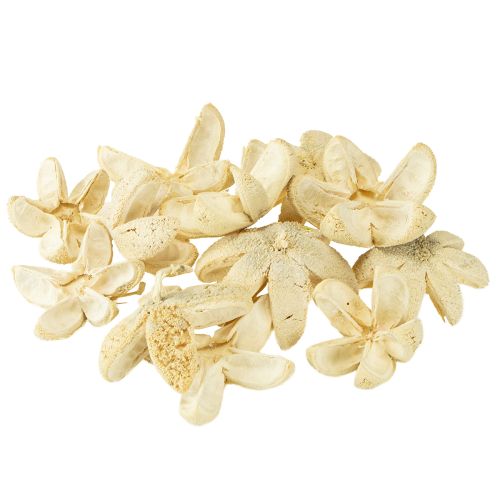 Article Fleur décorative blanchie 12 pcs