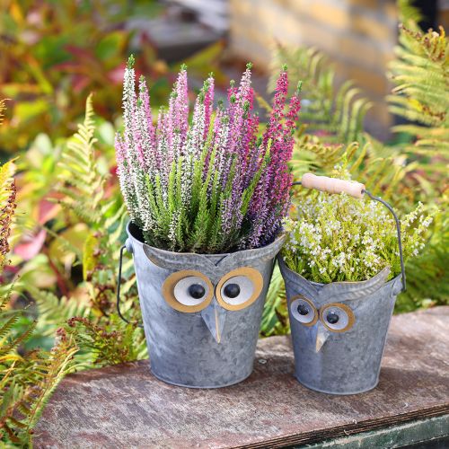 Floristik24 Jardinière décorative hibou en zinc avec anse Ø15/19cm lot de 2