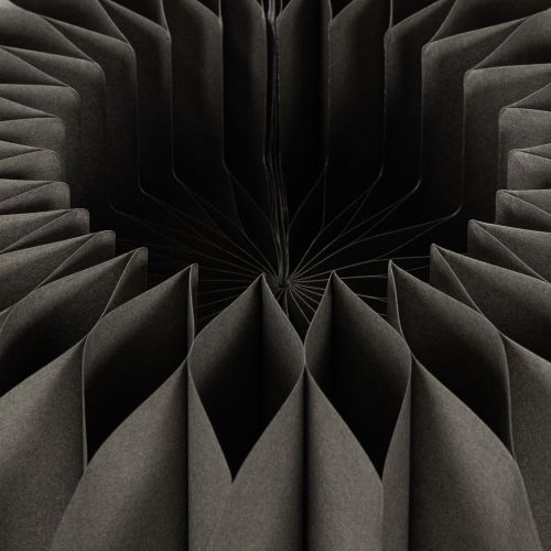 Kürbis en papier alvéolé rond Ø34cm noir set de 2 | Floristik24.fr