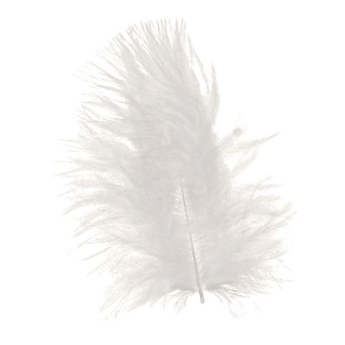 Floristik24 Plumes décoratives en blanc fournitures artisanales printemps 5-10cm 20g