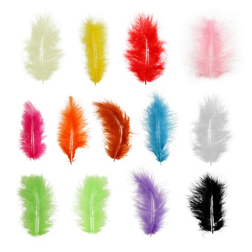 Floristik24 Plumes courtes 30g Multicolore