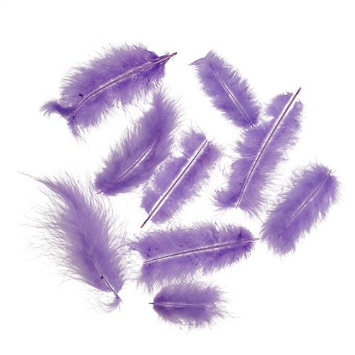 Article Plumes courtes 30g violet clair