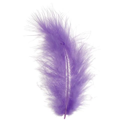 Article Plumes courtes 30g Violet