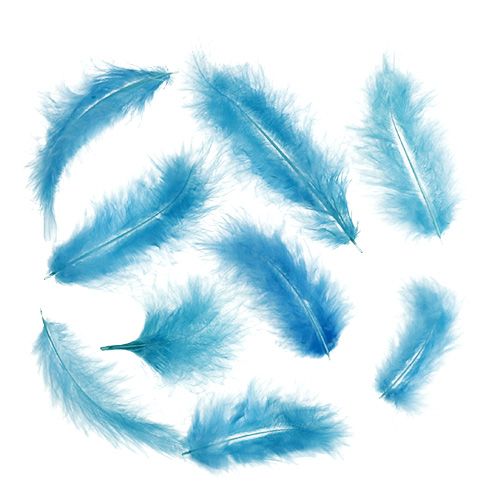 Floristik24 Plumes courtes 30g Turquoise