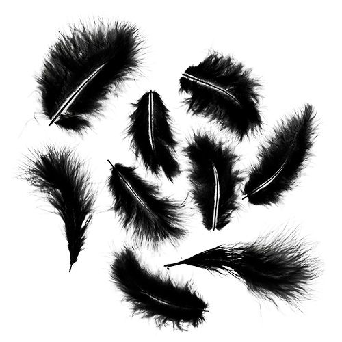 Plumes courtes 30g noir