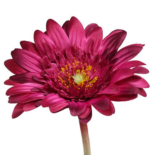 Floristik24 Gerbera décoratif Ø 7 cm L. 46 cm 6 p.