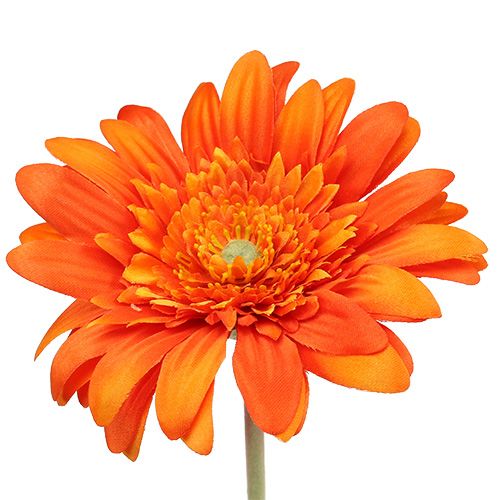 Floristik24 Gerbera décoratif orange Ø 10 cm L. 53 cm 6 p.