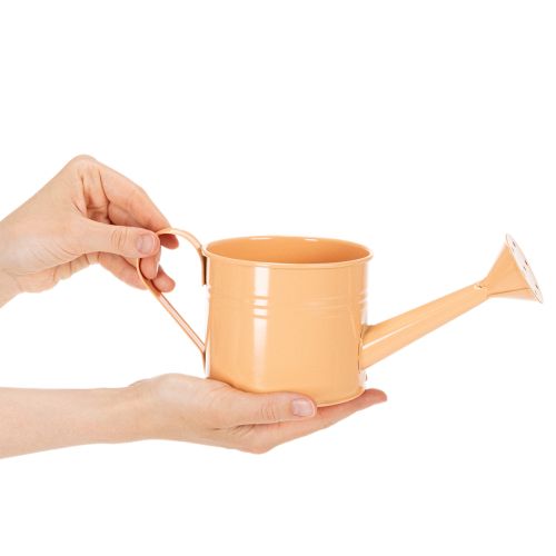 Ensemble d'arrosoirs décoratifs aux tons pastel saumon, vert et jaune-vert - pot en métal Ø11 cm H10 cm, 8 pièces | Floristik24.fr