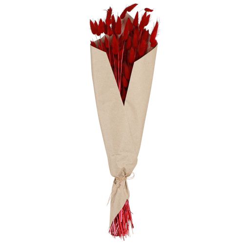 Floristik24 Herbe décorative Lagurus rouge, fleurs séchées, queue de lapin, 50g