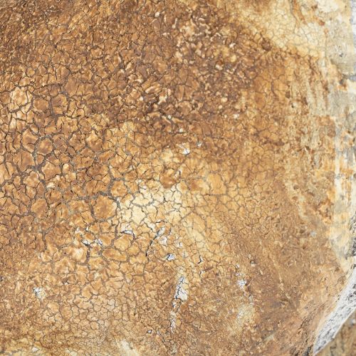 Article Figurine décorative de lapin pour la décoration printanière, 32 cm, lot de 2