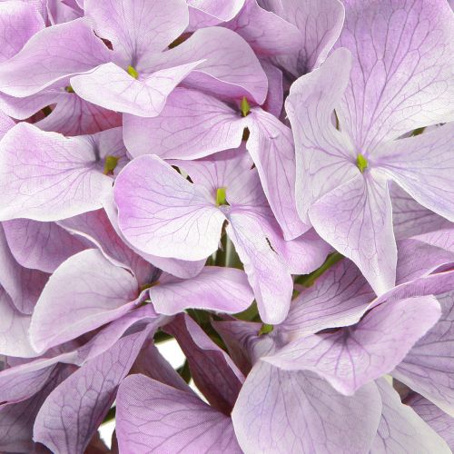 Article Décoration Hortensias Fleurs Artificielles Fleur Violette Ø18cm 69cm 2pcs
