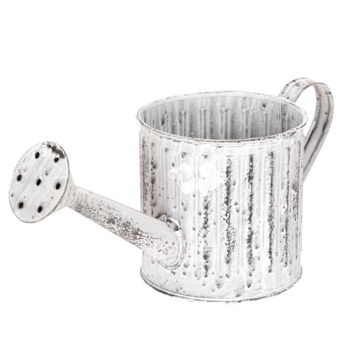 Arrosoir décoratif, jardinière, arrosoir pour plantation Ø10,5 cm acheter | Floristik24.fr