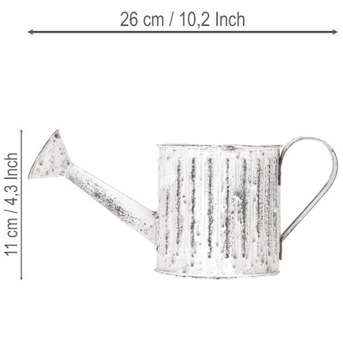 Arrosoir décoratif, jardinière, arrosoir pour plantation Ø10,5 cm | Floristik24.fr