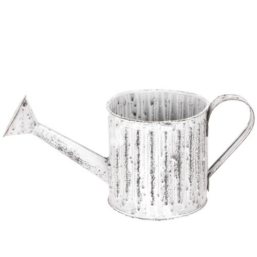 Arrosoir décoratif, jardinière, arrosoir pour plantation Ø10,5 cm | Floristik24.fr