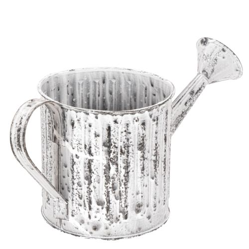 Arrosoir décoratif, jardinière, arrosoir pour plantation Ø10,5 cm | Floristik24.fr