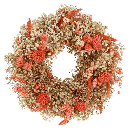 Floristik24 Couronne décorative fleurs séchées couronne de fleurs orange crème Ø25cm