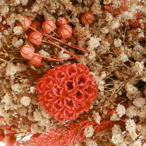 Article Couronne décorative fleurs séchées couronne de fleurs orange crème Ø25cm