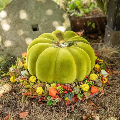 Floristik24 Potiron déco floqué vert mousse 32cm