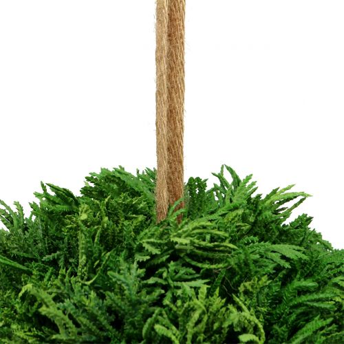 Floristik24 Boule de plante artificielle à suspendre verte Ø20cm