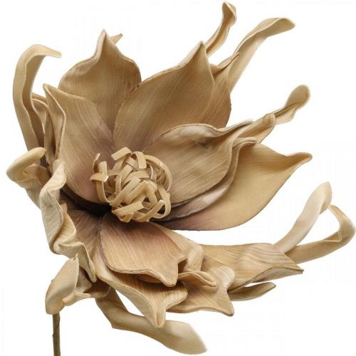 Article Déco fleur de lotus fleur de lotus artificielle fleur artificielle beige L68cm