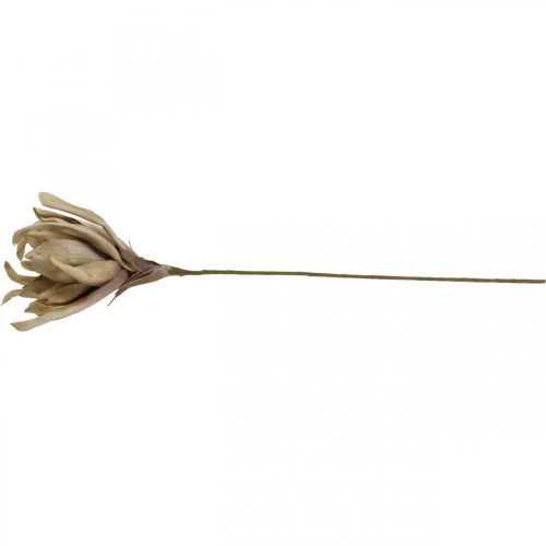 Floristik24 Déco fleur de lotus fleur de lotus artificielle fleur artificielle beige L68cm