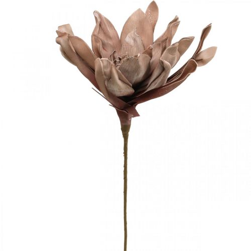 Floristik24 Déco fleur de lotus fleur de lotus artificielle fleur artificielle marron L68cm