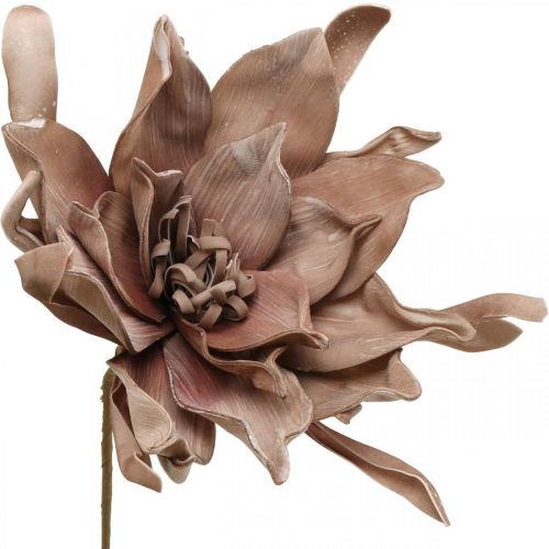 Floristik24.fr Déco fleur de lotus fleur de lotus artificielle fleur  artificielle marron L68cm - acheter pas cher en ligne