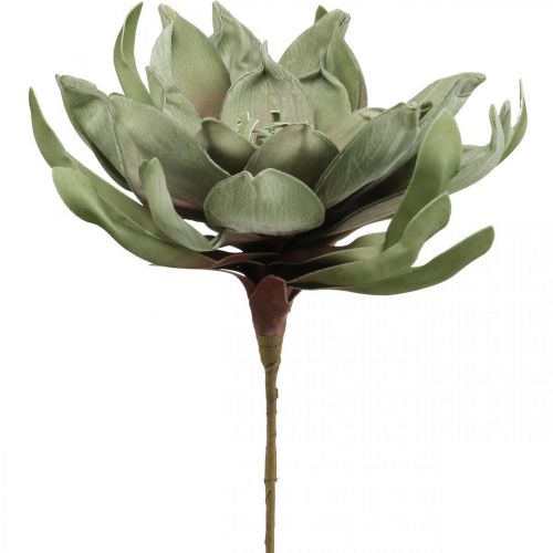Déco fleur de lotus fleur de lotus artificielle fleur artificielle verte L70cm
