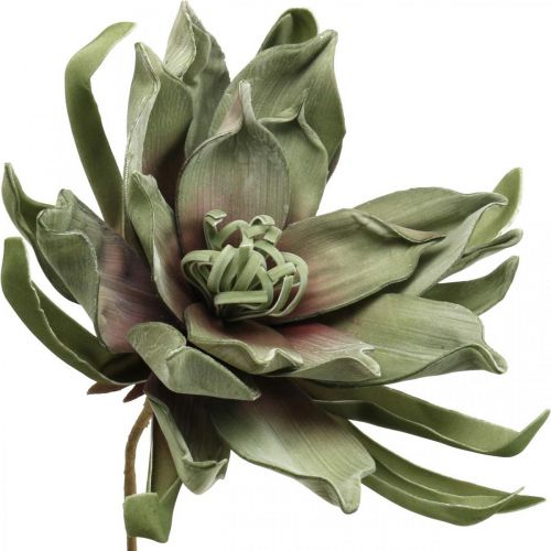 Déco fleur de lotus fleur de lotus artificielle fleur artificielle verte L70cm