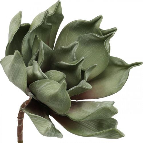 Floristik24 Déco fleur de lotus, fleur de lotus, fleur de soie verte L64cm