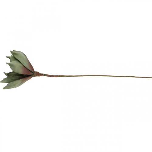 Floristik24 Déco fleur de lotus, fleur de lotus, fleur de soie verte L64cm