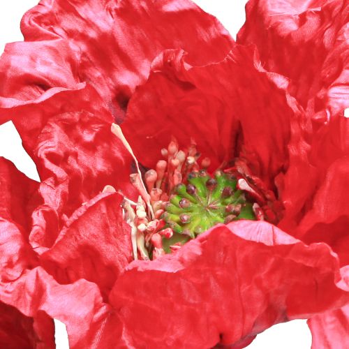 Floristik24 Coquelicots artificiels Rouges Grandes fleurs 88cm 3 Pièces