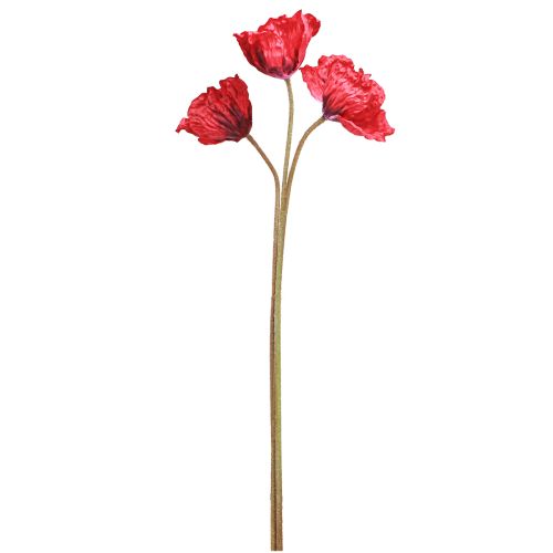 Floristik24 Coquelicots artificiels Rouges Grandes fleurs 88cm 3 Pièces