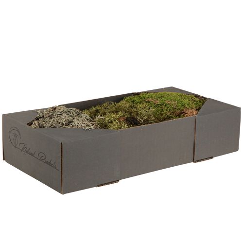 Article Mousse stabilisée et lichen pour compositions florales 250g
