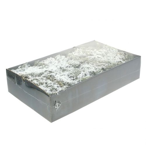 Floristik24 Mousse décorative grise recouverte de neige 500g