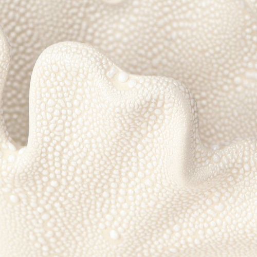Article Vase coquillage décoratif mini vase en céramique crème 14×7,5×9,5cm