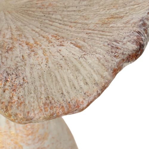 Article Champignon décoratif en pierre moulée, décoration d'automne, gris lavé, 19 x 15 cm, hauteur 23 cm