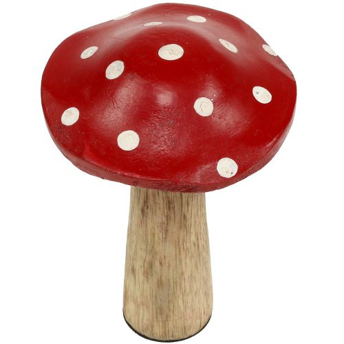 Floristik24 Toadstools en bois 14cm 6pcs