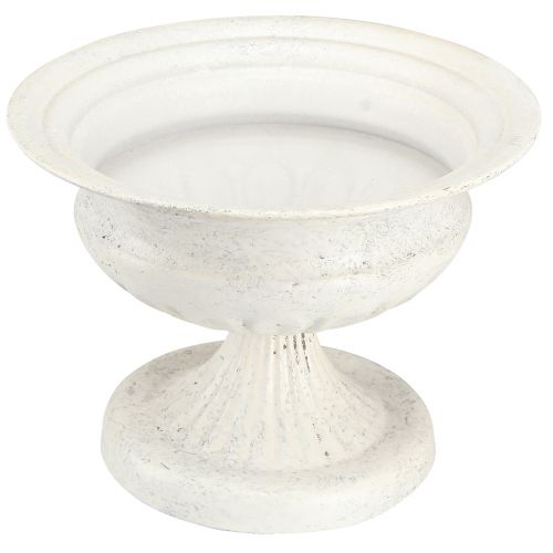 Floristik24 Coupe trophée décorative coupe métal antique blanc Ø20cm H15cm