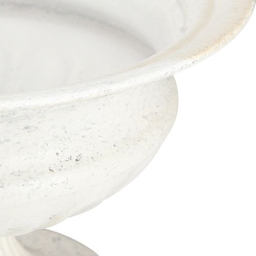 Floristik24 Coupe trophée décorative coupe métal antique blanc Ø20cm H15cm