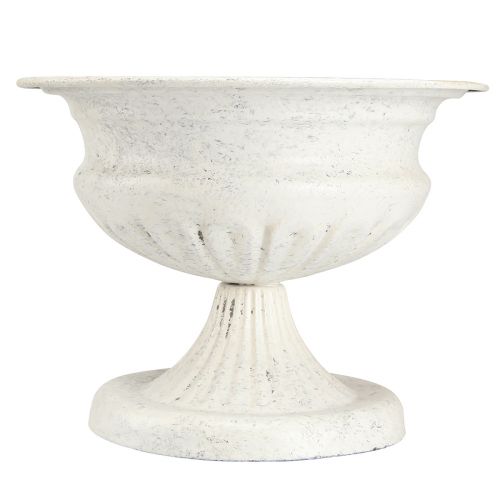 Floristik24 Coupe trophée décorative coupe métal antique blanc Ø20cm H15cm