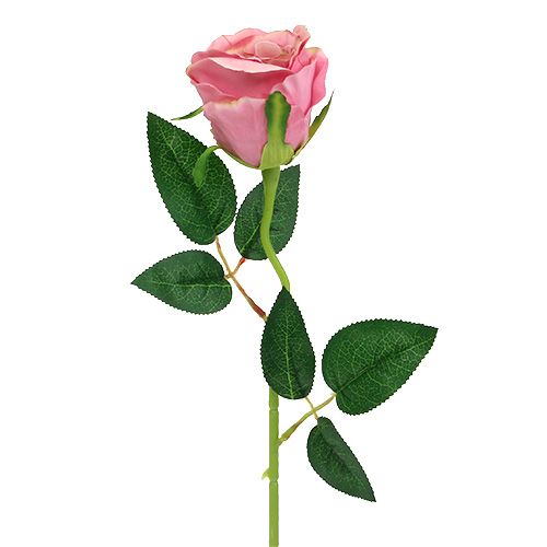 Floristik24 Rose déco Ø6cm Rose foncé L50cm 1P