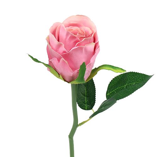 Floristik24 Déco rose Ø6cm rose L30cm 6pcs