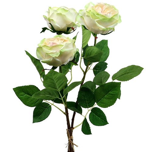 Floristik24 Déco rose crème-rose Ø10cm 52cm 3pcs